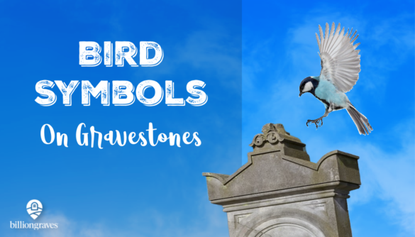 billiongraves, bird symbols, bg, GPS, mobile app, bird symbols, cemetery, grave, gravestone, genealogy